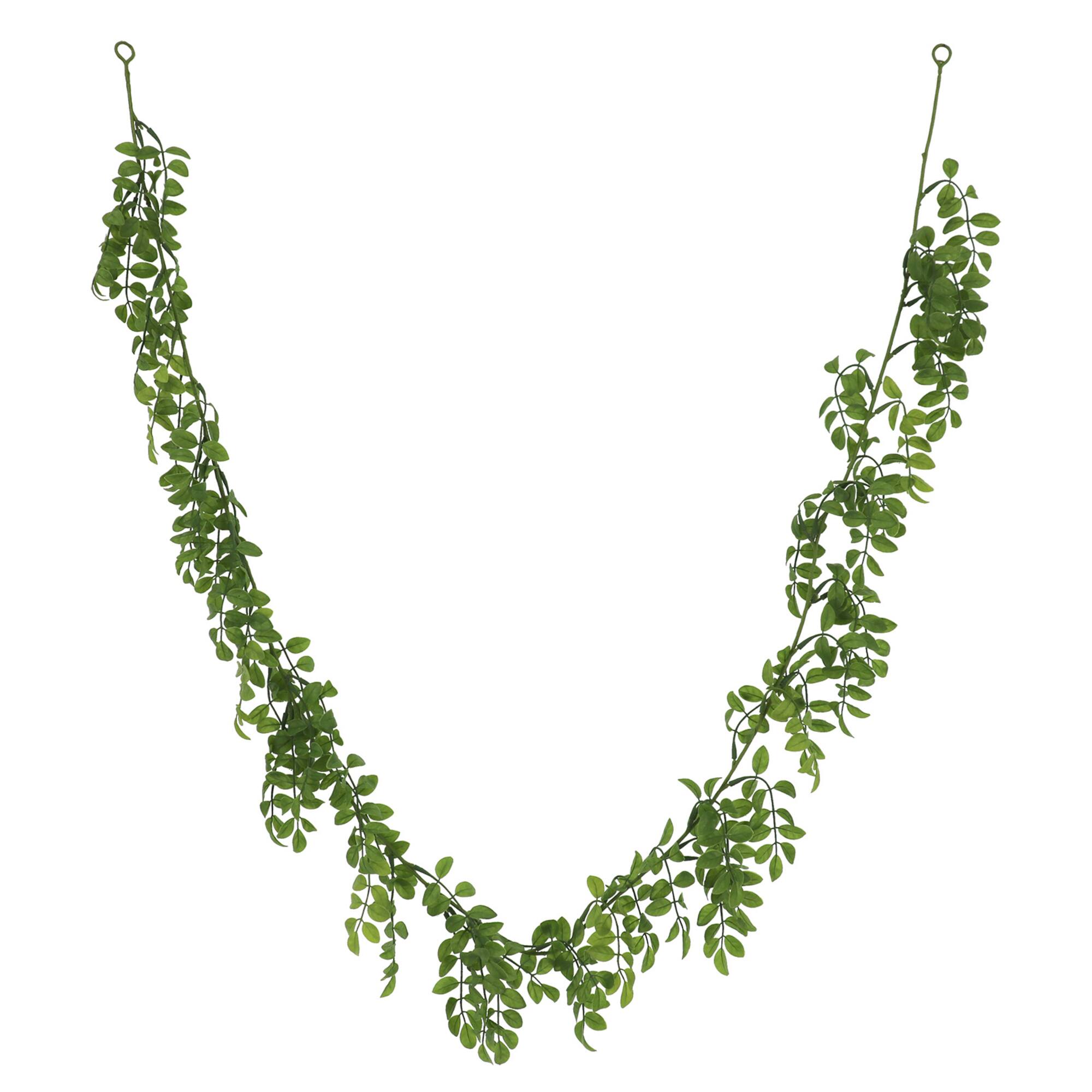 6 Pack: 6ft. Nandina Leaf Garland by Ashland®